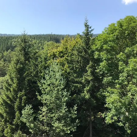 Alexandr * Dolní Morava