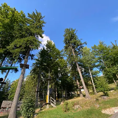 Alexandr * Dolní Morava