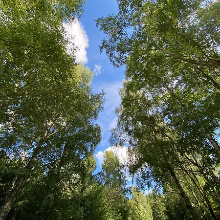 Alexandr Dolní Morava